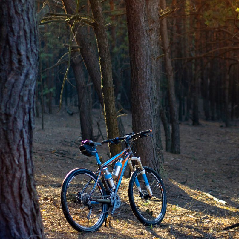 אופני הרים Trek X-Caliber